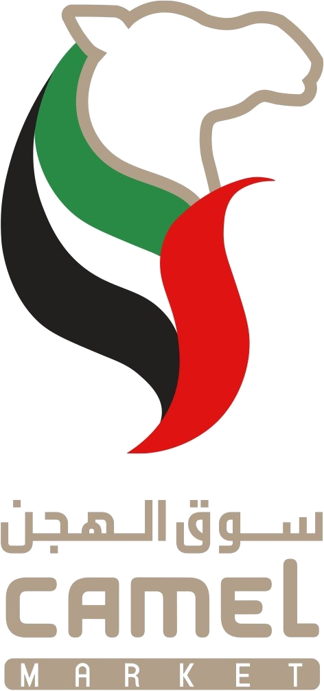 سوق الهجن